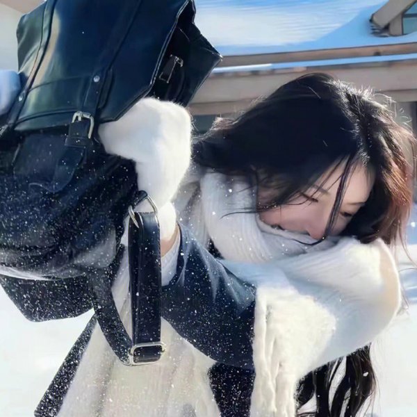 小樽初雪 海报